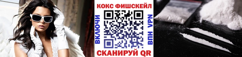 где найти   Нязепетровск  COCAIN VHQ 