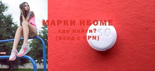 индика Армянск
