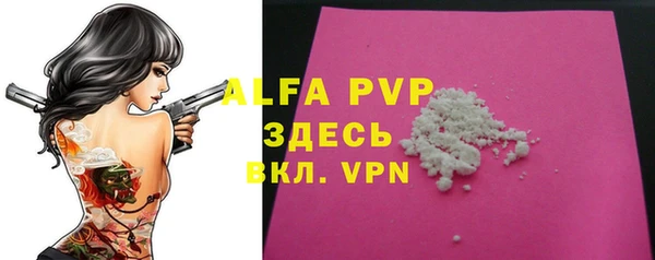 индика Армянск