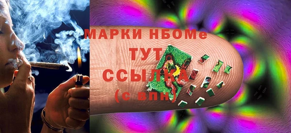 индика Армянск