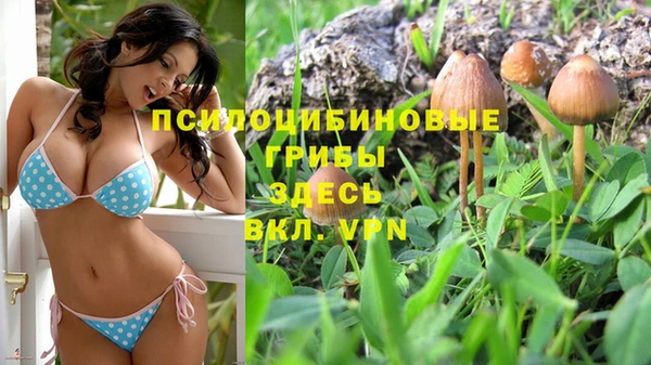 таблы Аркадак