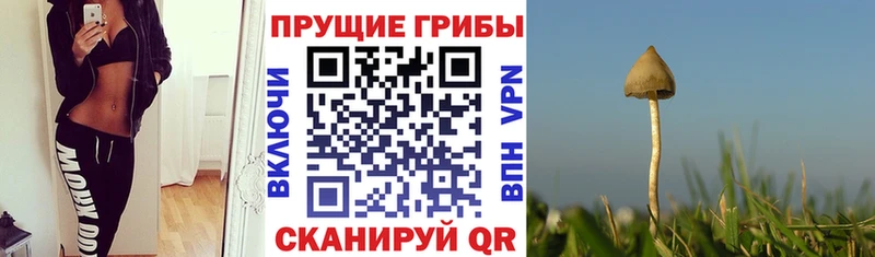 Псилоцибиновые грибы GOLDEN TEACHER  гидра ТОР  Нязепетровск 